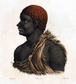 French painting of a Tasmanian Aboriginal man