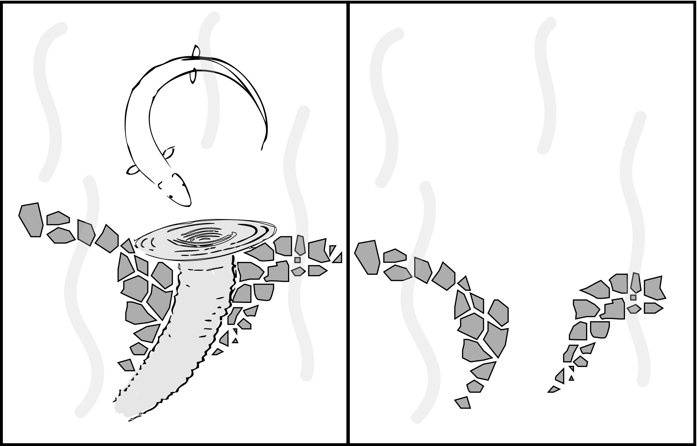 Eels & Seals, Resources